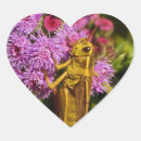 Buscar insecto afortunado Animal