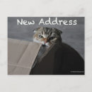 Buscar apartamento postales Familia