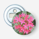 Buscar rosa brillante abrebotellas Flores