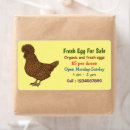 Buscar gallina etiquetas 7 º morada