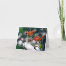 Buscar flor del lirio tarjetas Para todos
