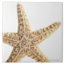 Buscar estrellas azulejos Sealife