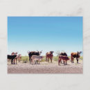 Buscar familia de tres postales Animal