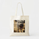 Buscar cerdos bolsos Animales del campo
