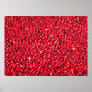 Buscar carmesí posters Arándanos