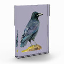 Buscar pluma de pájaro decoracion Cuervo