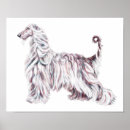Buscar perro afgano posters Honestidad