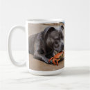 Buscar staffy tazas Perro