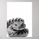 Buscar serpiente blanca posters Retrato