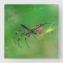 Buscar araña relojes de pared Insectos