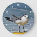Buscar gaviota relojes de pared Animal