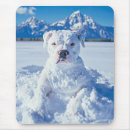 Buscar del pitbull alfombrillas de raton General y unisex