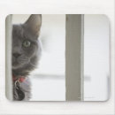 Buscar ventanas alfombrillas de raton Felino