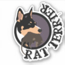 Buscar rat pegatinas parachoque 4 º rata