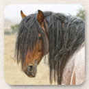 Buscar pelo animal posavasos Animales