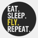 Buscar aviación pegatinas Volante