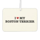Buscar boston casa hogar Para mascotas