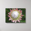 Buscar blanes lienzos Naturaleza