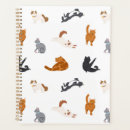Buscar pata agendas Gato