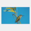 Buscar aviar pegatinas Fotografía