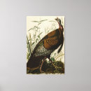 Buscar audubon decoracion Aves de américa