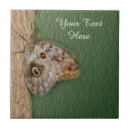 Buscar mariposas azulejos Para ella