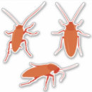 Buscar cucaracha pegatinas Divertido