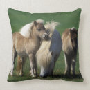 Buscar miniatura cojines Caballo