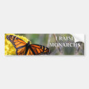 Buscar monarca pegatinas parachoque Naturaleza