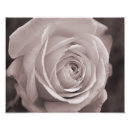 Buscar 10x8 Foto