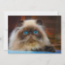 Buscar himalaya tarjetas Gatito