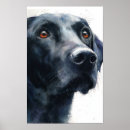 Buscar labrador retriever negro posters Acuarela