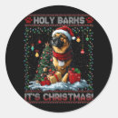 Buscar christma del perro Navidad
