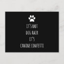 Buscar groomer postales Animal