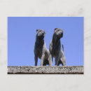 Buscar amor chino postales China