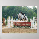 Buscar caballo de salto posters Cazador