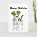 Buscar jrt tarjetas 6 º jrt