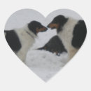 Buscar collie pegatinas Agudo