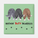 Buscar beardies Collies barbudos