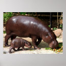 Buscar hippo arte Animal