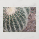 Buscar cactus postales Verde