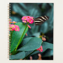 Buscar alas agendas Rosa