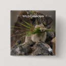 Buscar americanos chapas Naturaleza