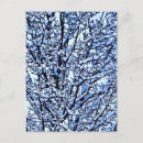 Buscar ramas nevadas postales Nieve