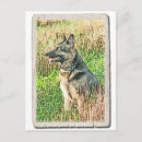 Buscar style verticales postales Animal
