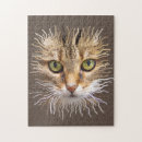 Buscar ojos verdes puzzles Gato de tabú
