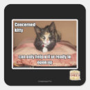 Buscar preocupado pegatinas Puedo tener cheezburger