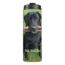 Buscar chiste del perro tazas Divertido