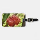 Buscar antorcha accesorios General y unisex
