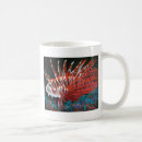 Buscar del lionfish Naturaleza